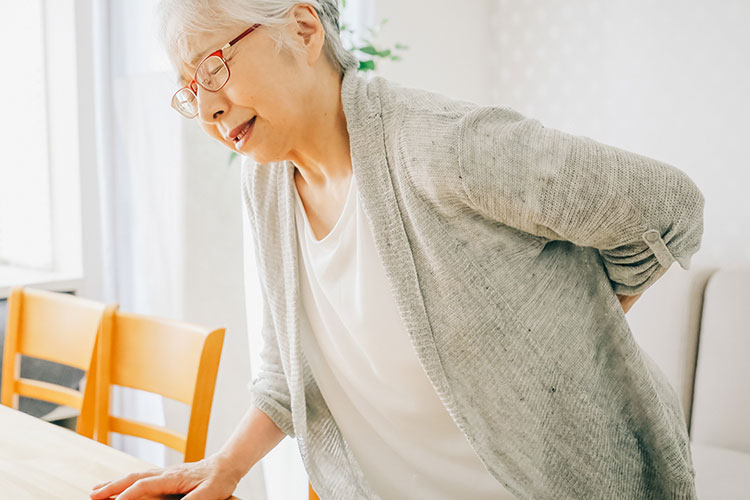 胸椎・腰椎のイメージ画像